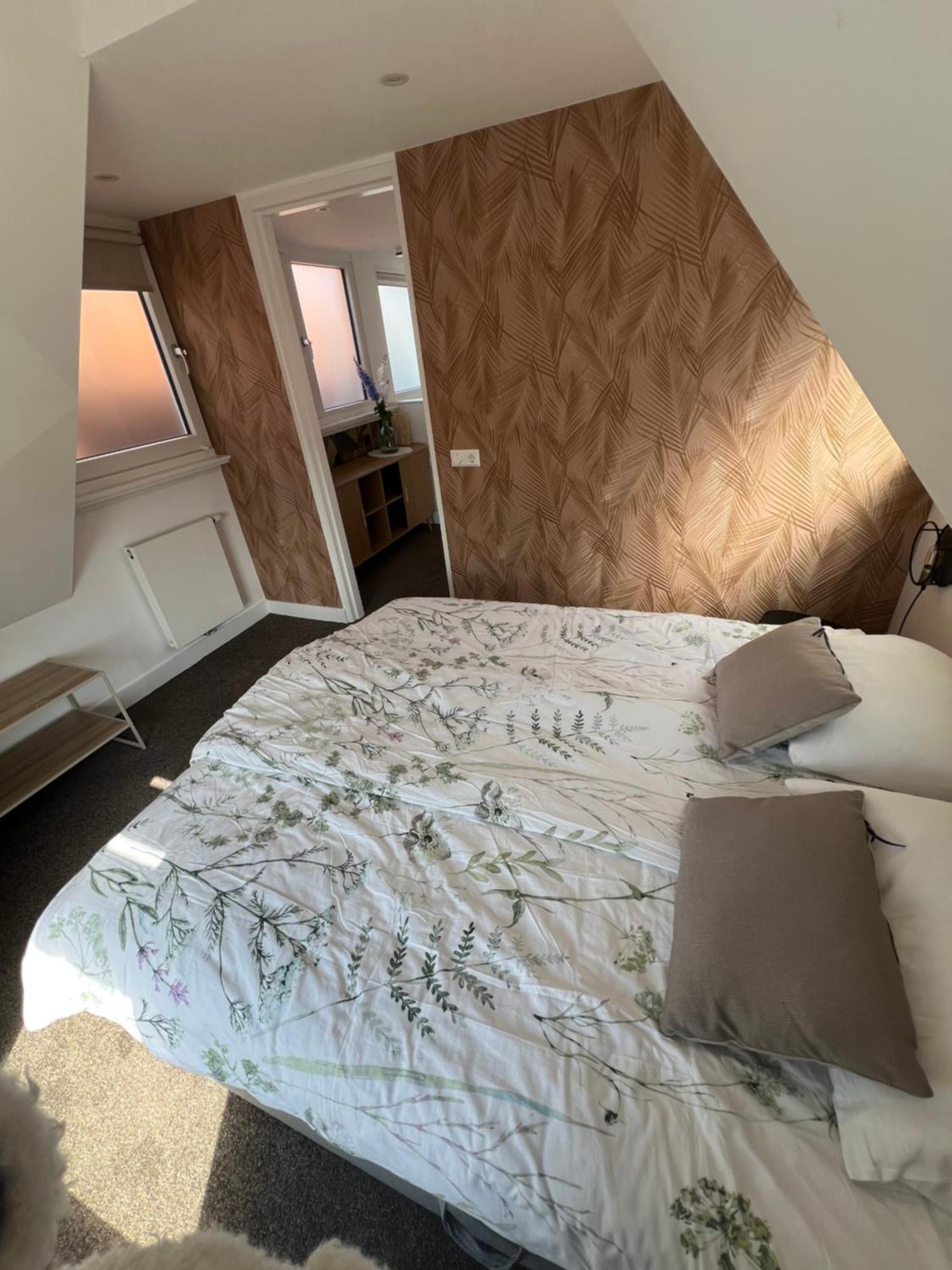 Oudegracht Alkmaar 빌라 외부 사진